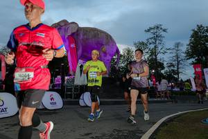 BIB: 
                            <button type="button" onclick="openModal(26529573)" class="btn btn-primary btn-sm float-right btn-popup" data-toggle="modal" data-target=".modal-high-quality">
                        <i class="fas fa-shopping-cart"></i> Add to Cart
                    </button>
                                            <button type="button" onclick="isThisMe(26529573, true)" class="btn btn-success btn-sm float-right btn-popup btn-isme hidden" data-toggle="tooltip" data-placement="bottom" title="นี่คือรูปของคุณใช่ไหม คลิกที่นี่เพื่อเอาเข้าอัลบั้ม">
                        <i class="fas fa-plus"></i> Add to album
                    </button>
                    <button type="button" onclick="isThisMe(26529573, false)" class="btn btn-warning btn-sm float-right btn-popup btn-isnotme hidden">
                        <i class="fas fa-ban"></i> Remove from album
                    </button>